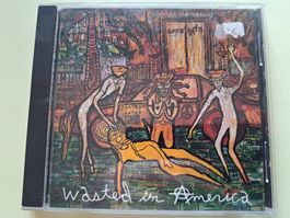 Cd Love / Hate - Wasted in America