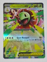 Mega Meganium ex Promo Holo Karte 034 EN 2026