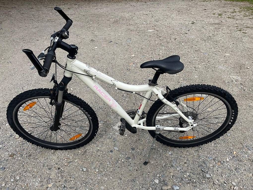 Biciclette: Bici muscolare – Usato da Motto (Blenio) venduto da Fra_Alb
