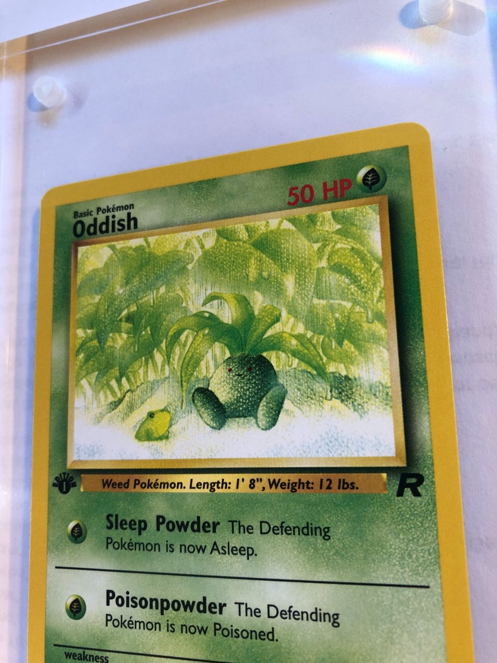 Sammelbilder & Trading cards: Oddish 1st Team Rocket - MINT - ab 1.- – Gebraucht aus Giubiasco von dan_pr8b 3