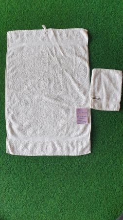 1weisses Frotteetuch & Waschhandschuh, 100% Baumwolle