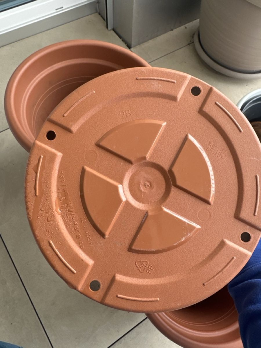 Pots de fleurs: Blumentöpfe – D'occasion à Altbüron par janroe 2