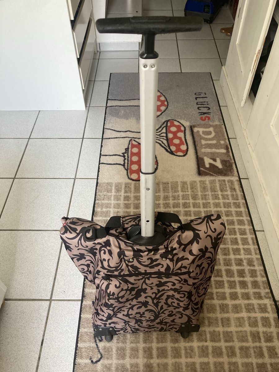 Sonstiges für Haushalt & Wohnen: Reisenthel Einkaufstrolley mit Rollen Muster beige-schwarz – Gebraucht aus Burg AG von Apollomond 3