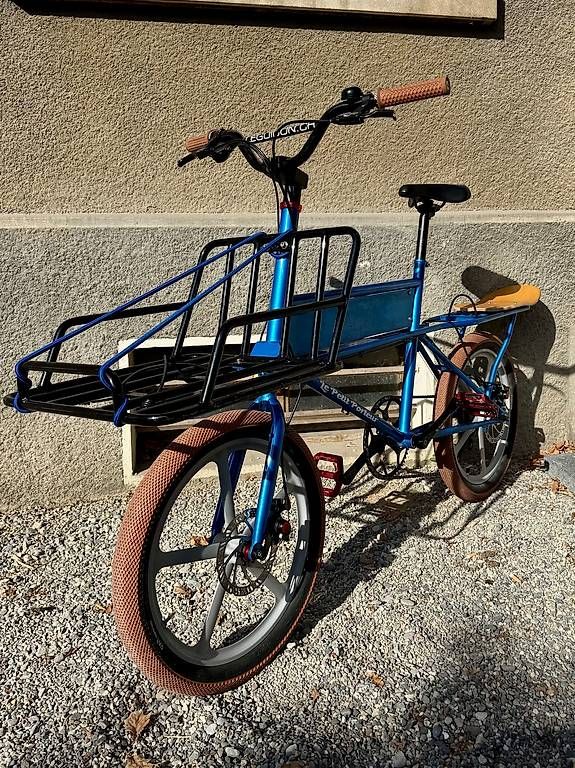Biciclette: Vélo Cargo Compact Parfait état, super équipé – Usato da Genève venduto da ced_wmx8