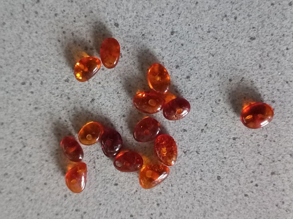 Pietre preziose: 14 Stk. Bernsteine – Nuovo e nell'imballaggio originale da Winistorf venduto da acreativ2
