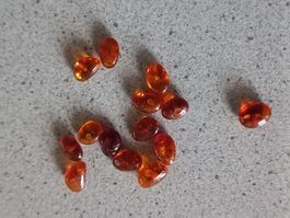 14 Stk. Bernsteine
