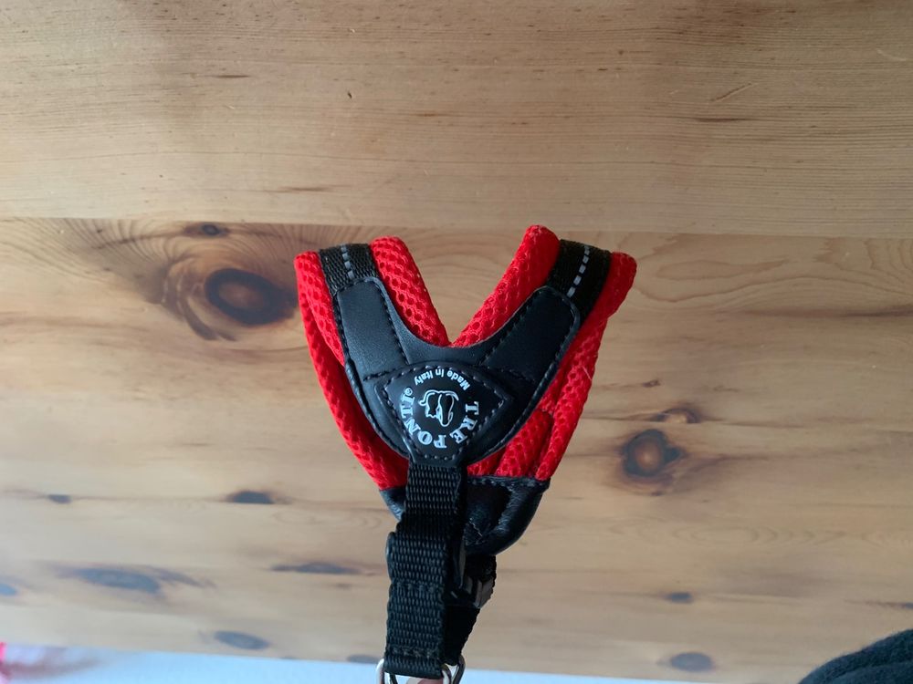 2er Set Hundegeschirr Mit Leine – Y-Form, Blau, Für Hunde 8–15 Kg