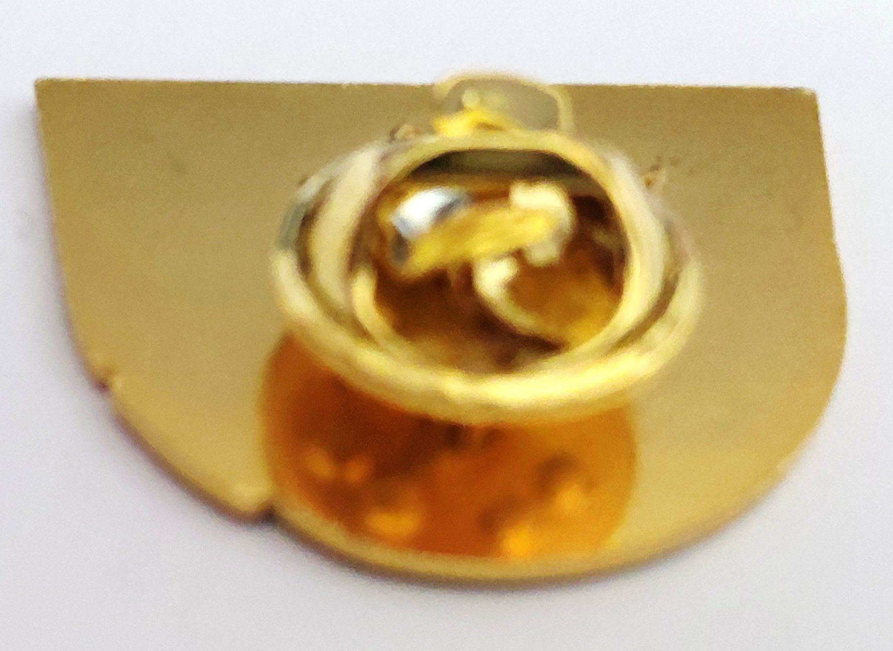 Plaketten & Abzeichen: PIN Vitznau – Gebraucht aus Luzern von qualifair 1