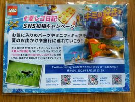 Lego Minifigure aus Japan #summerlegodiary braun