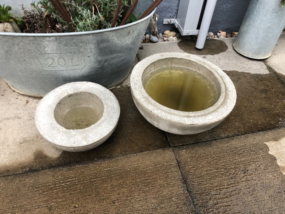 2 Beton Schalen Vogeltränke Gartendeko Teich Bienen Wasser Kaufen auf