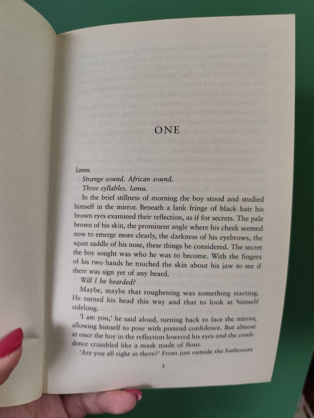 Libri: Niall Williams: Boy in the World – Usato da Mägenwil venduto da VintageGirly 5