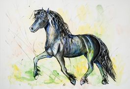 Aquarell Bild, Vollkommenheit - ein Friese