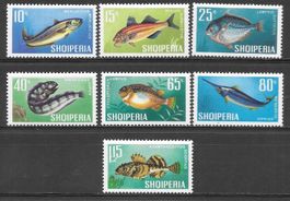 Albanien Serie 1131 - 1137 Fische 20.1.1967