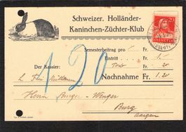 Abart:Schweizer Holländer Kaninchen Züchter Klub , 24.1.1925
