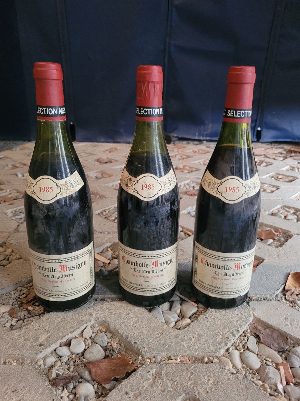 Vino: A vendre Chambolle Musigny 1985 – Usato da Dompierre FR venduto da audrey011113