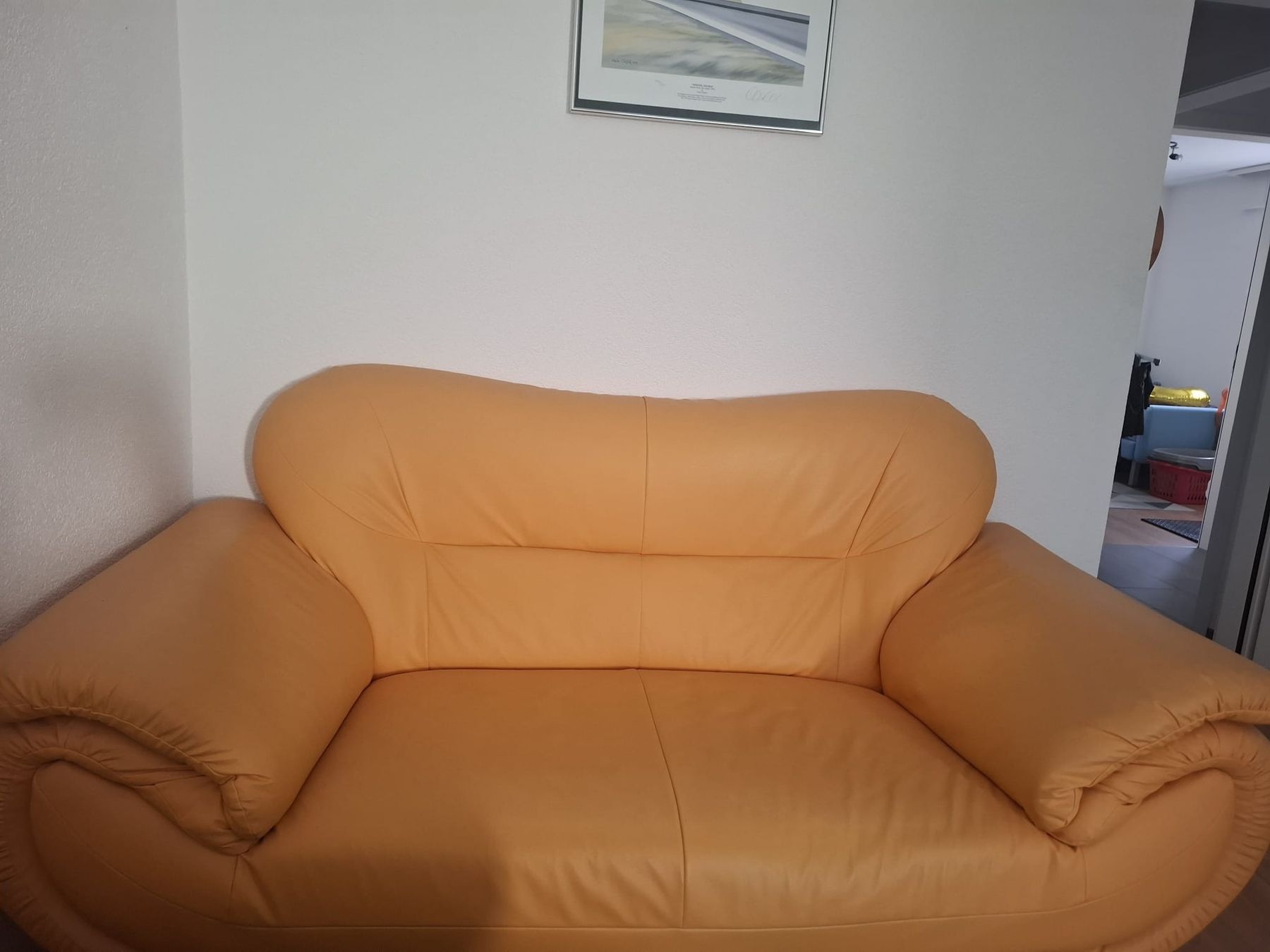 Sofas: Divano 2 posti – D'occasion à Fribourg par lor_8wrj 2