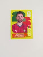 Panini World Cup 2026 POR 11