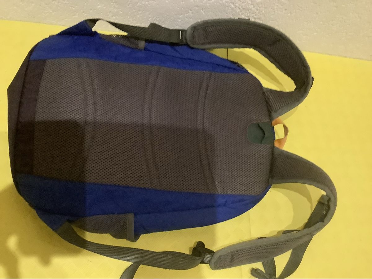Patagonia Borse & Zaini: Patagonia Kinderrucksack Poco Mas 18l – Usato da  venduto da  5