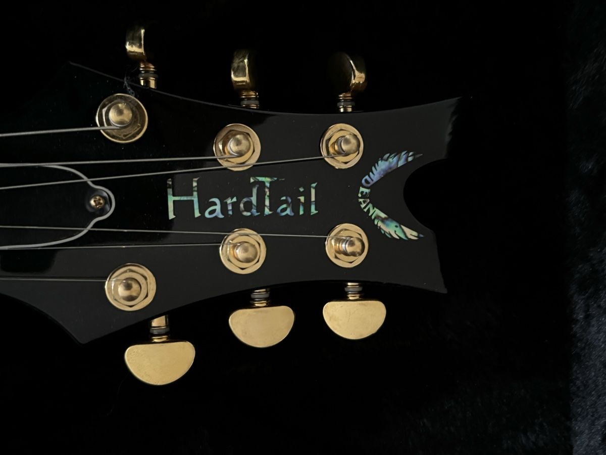 Strumenti musicali: Dean Hardtail E-Gitarre mit Koffer, neuwertig! – Nuovo (secondo la descrizione) da Luzern venduto da Combi 3