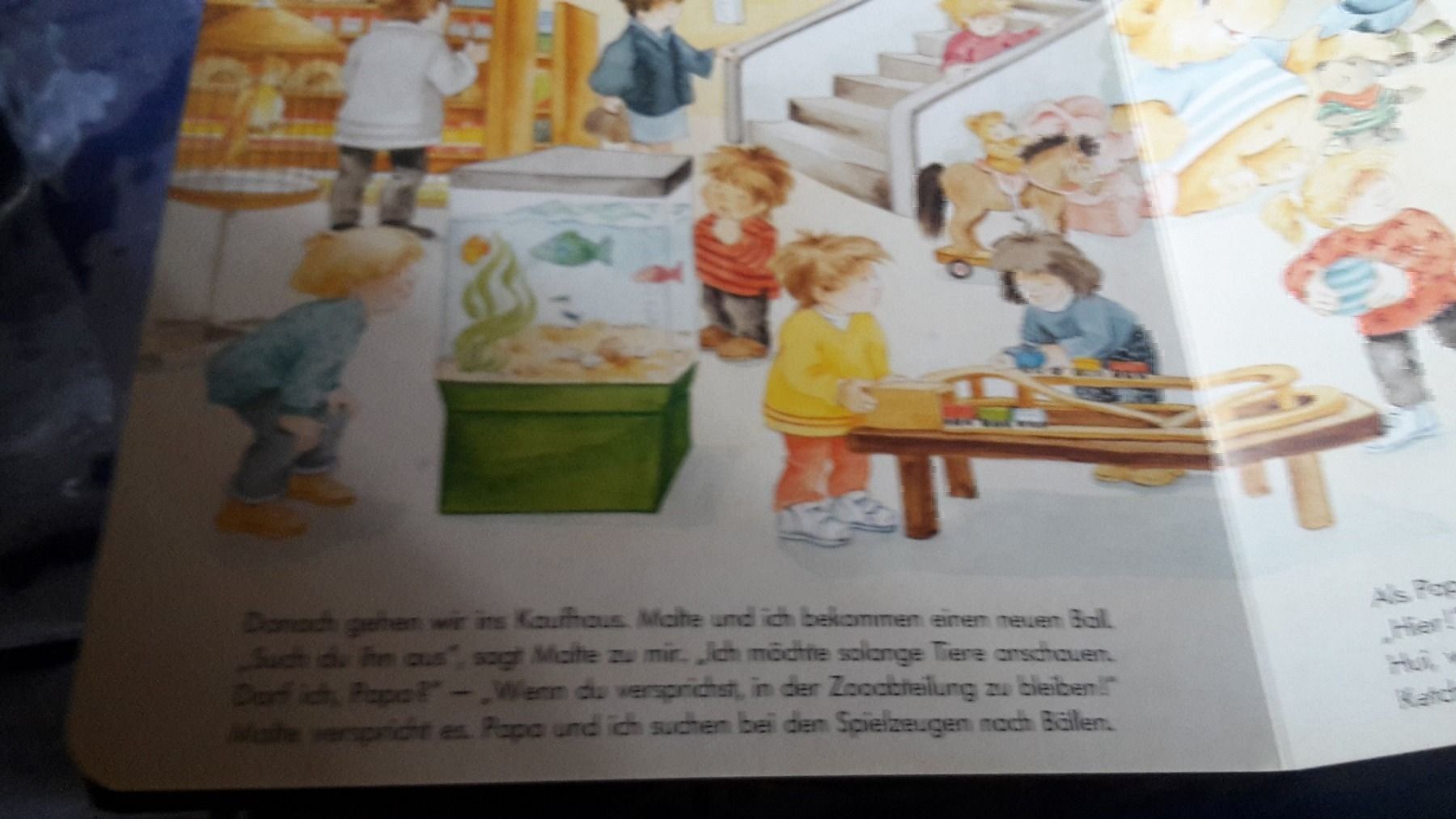 Libri: Buch Stadtbummel – Usato da Schwarzenburg venduto da Flamingo07 1