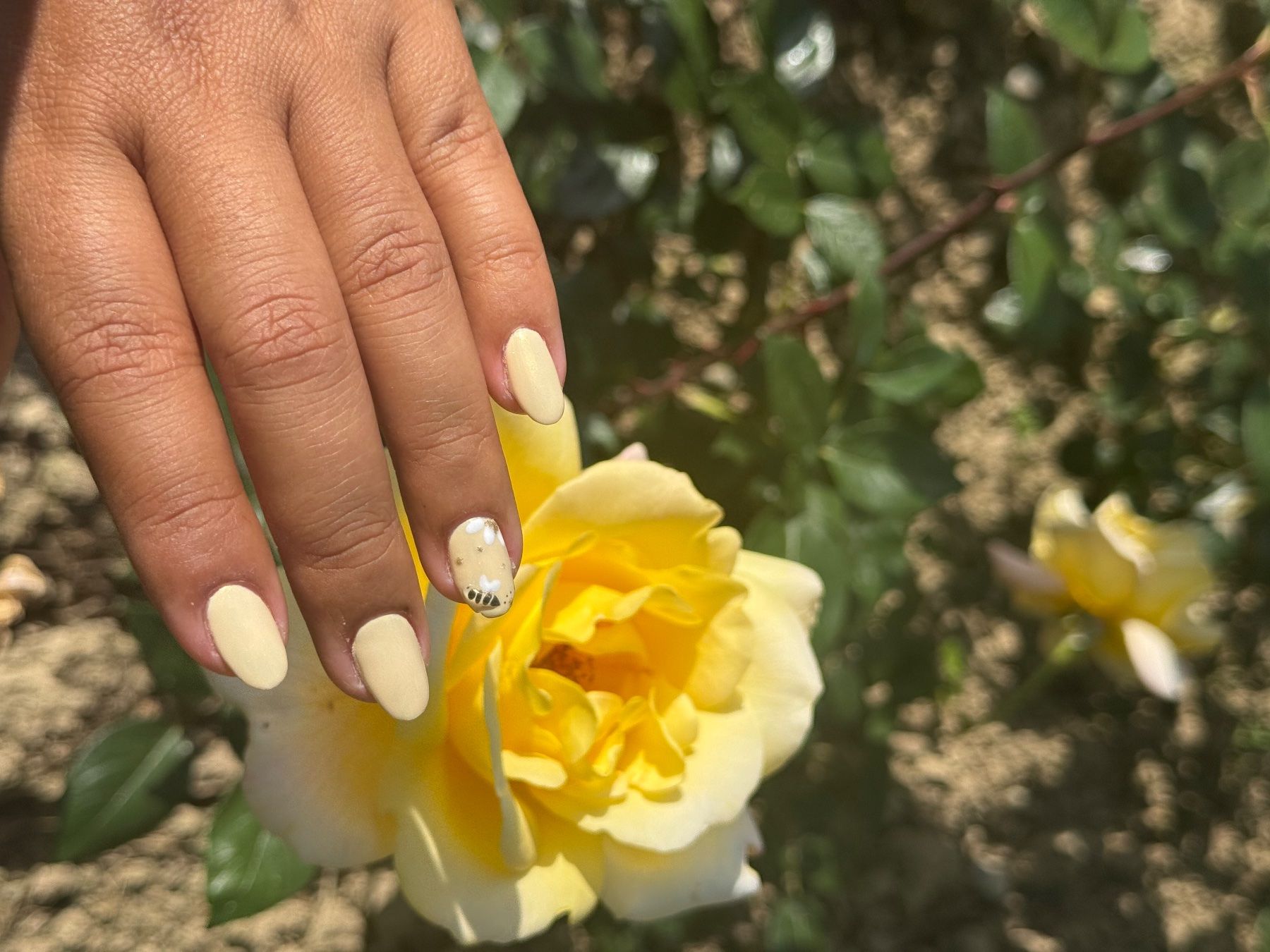 Manicure: Nails ongles Manucure – Usato da Lausanne venduto da iva_v2ms 1