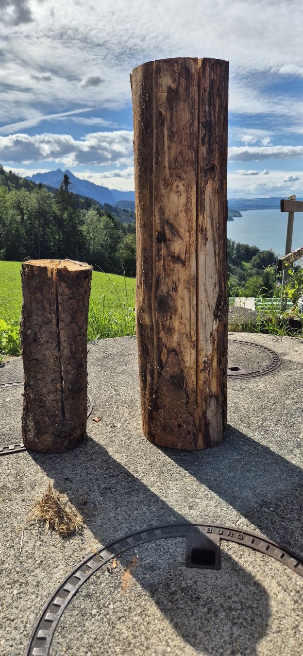 Holzartikel: Finnenkerzen – Neu (gemäss Beschreibung) aus Leissigen von deltaturbo 1