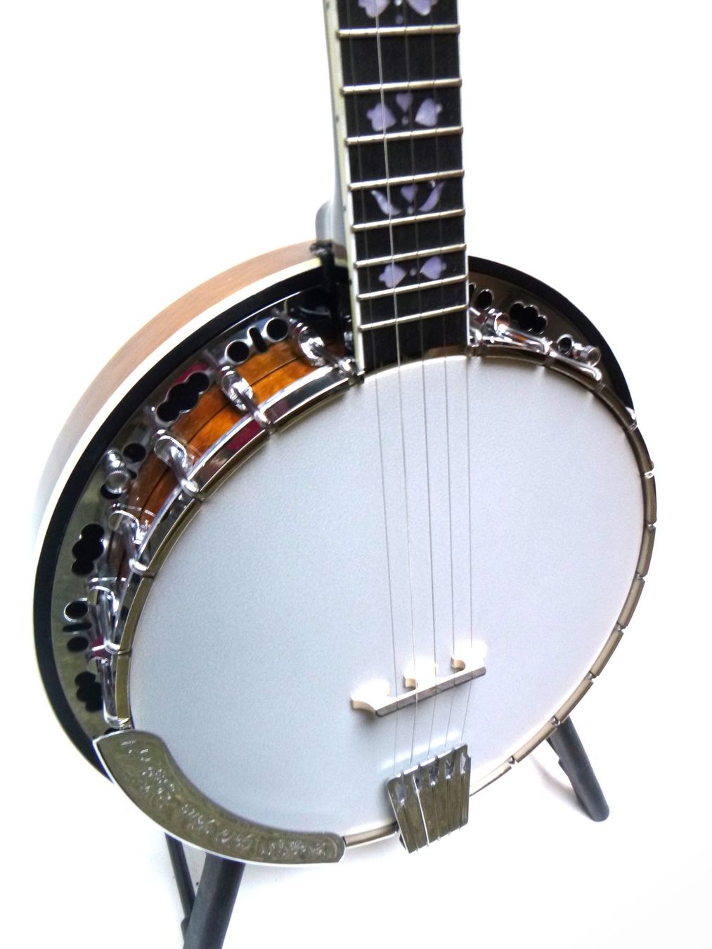 Strumenti musicali: GOLD TONE BG-150F – Nuovo e nell'imballaggio originale da Schaffhausen venduto da Saitensprung_SH 2