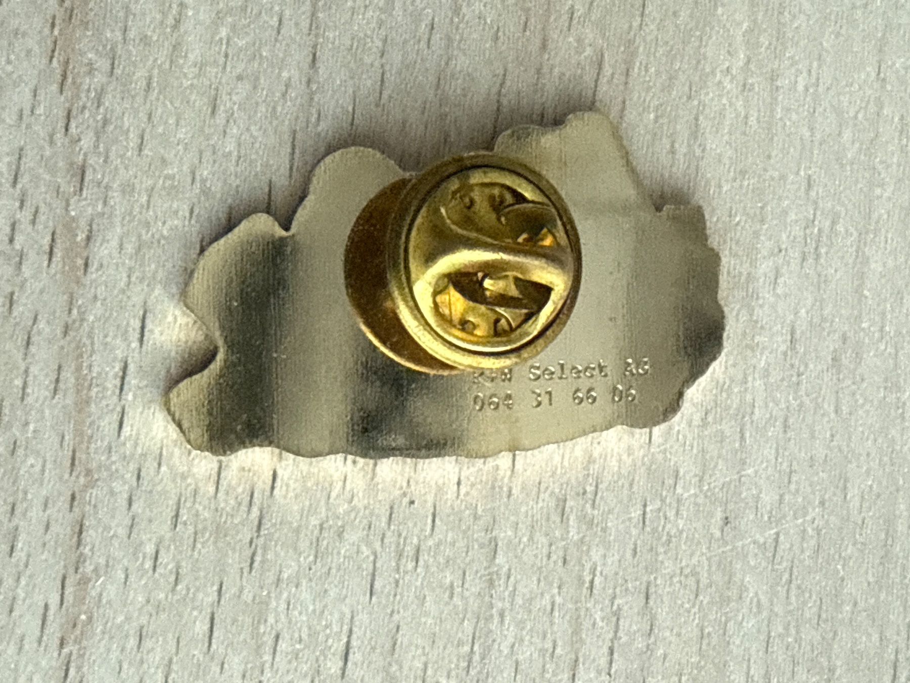 Plaketten & Abzeichen: Pin SG. Hallwilersee – Gebraucht aus Glattbrugg von Schweigmatt 1