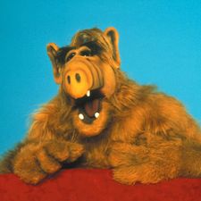 Profile image of DonAlfi