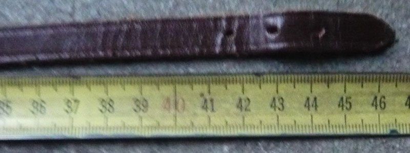 Leine & Halsband: Halzband ca 46 cm Echtleder – Gebraucht aus Ruggell von Btt 1