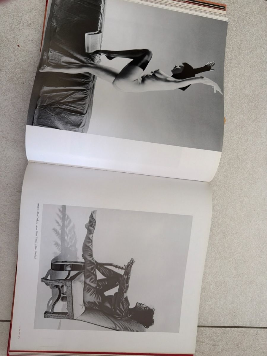 Bücher: Book " Pin-Ups" excellent condition – Gebraucht aus Martigny von Jacoosh1234 7