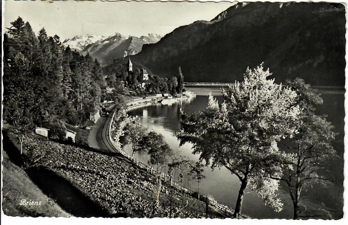 Cartoline postali: Brienz – Usato da Hochdorf venduto da Ziegel-16