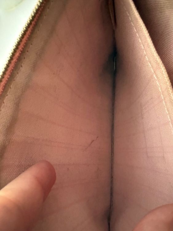 Louis Vuitton Taschen für Damen: Louis Vuitton Neverfull Pouch Damier Azur - Authenticated – Gebraucht aus Chiggiogna von TheLegend88 6