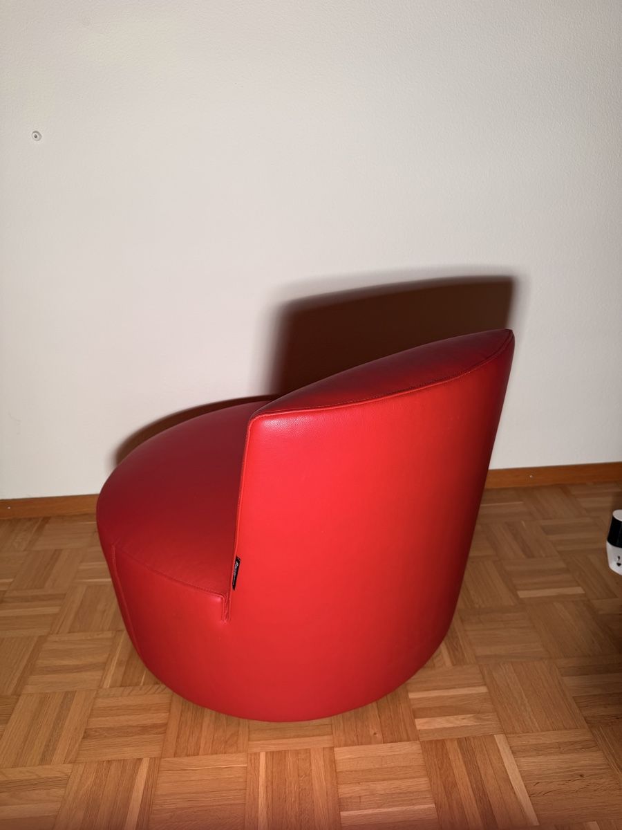 Poltrone: Tacchini Baobab Ledersessel – Usato da Zürich venduto da enn_rn5n 2