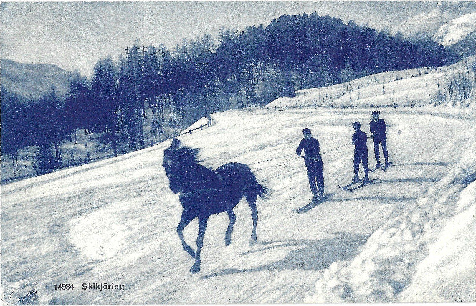 Cartes postales: 14934    Skijöring – D'occasion à Bütschwil par Jackson1A