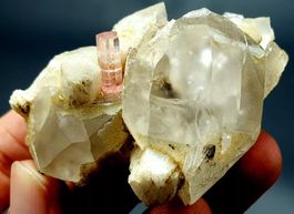 Tourmaline with Quartz from Brazil