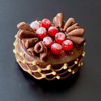 Schokoladentorte mit Beeren für die Puppenstube.  NP 19.50.