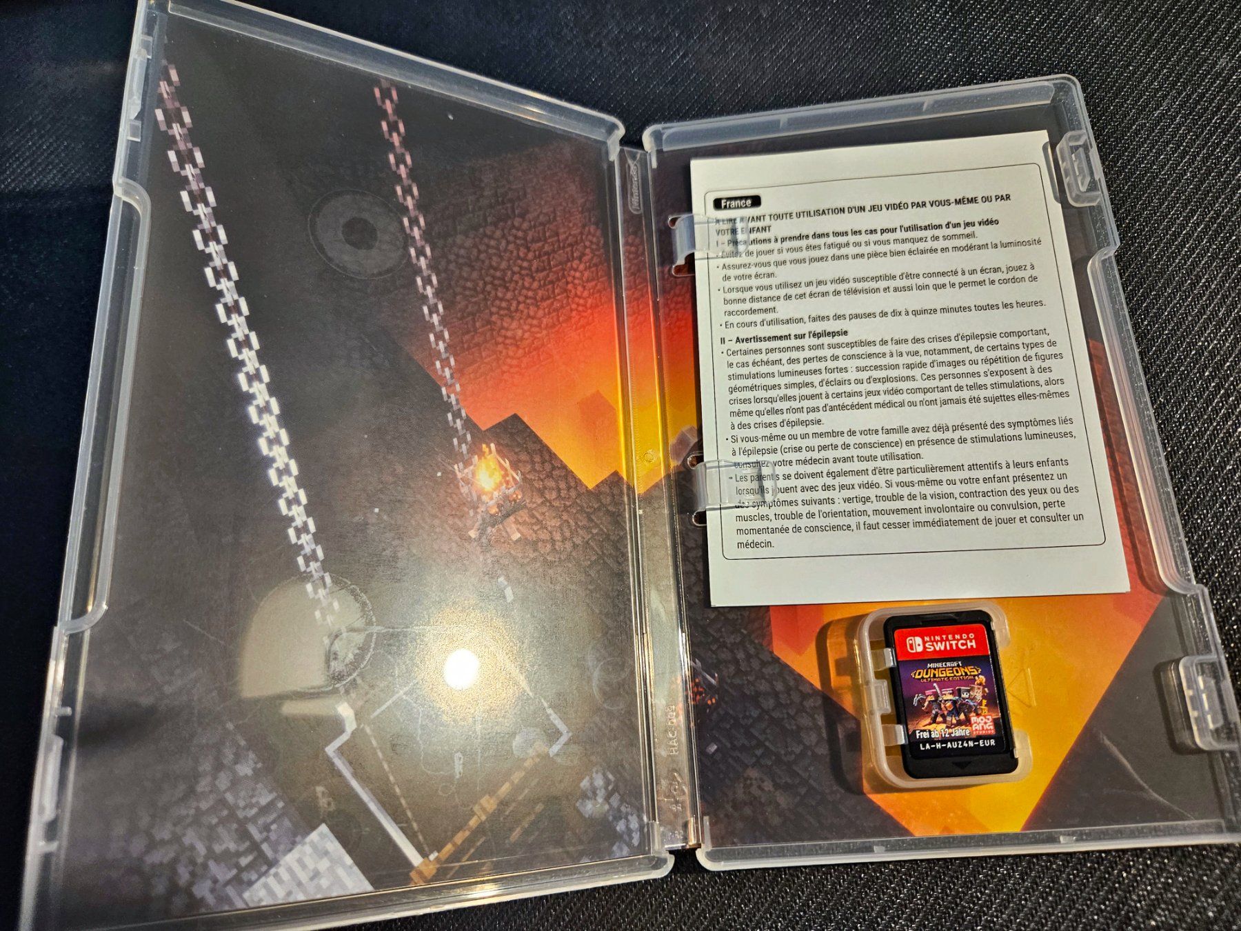 Nintendo Spiele: Minecraft Dungeons - Ultimate Edition - Nintendo Switch – Gebraucht aus Paudex von  2