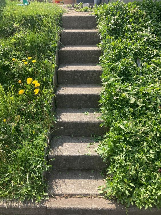 Betontreppe, Betonstufen, Treppe Kaufen auf Ricardo