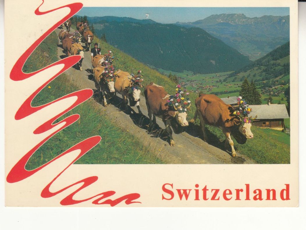 Cartoline postali: St. Stephan 1983 – Usato da Bürglen TG venduto da StampGraf