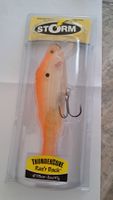 Leurre Storm Thundercore Raz'r Back Neuf, Orange 15cm