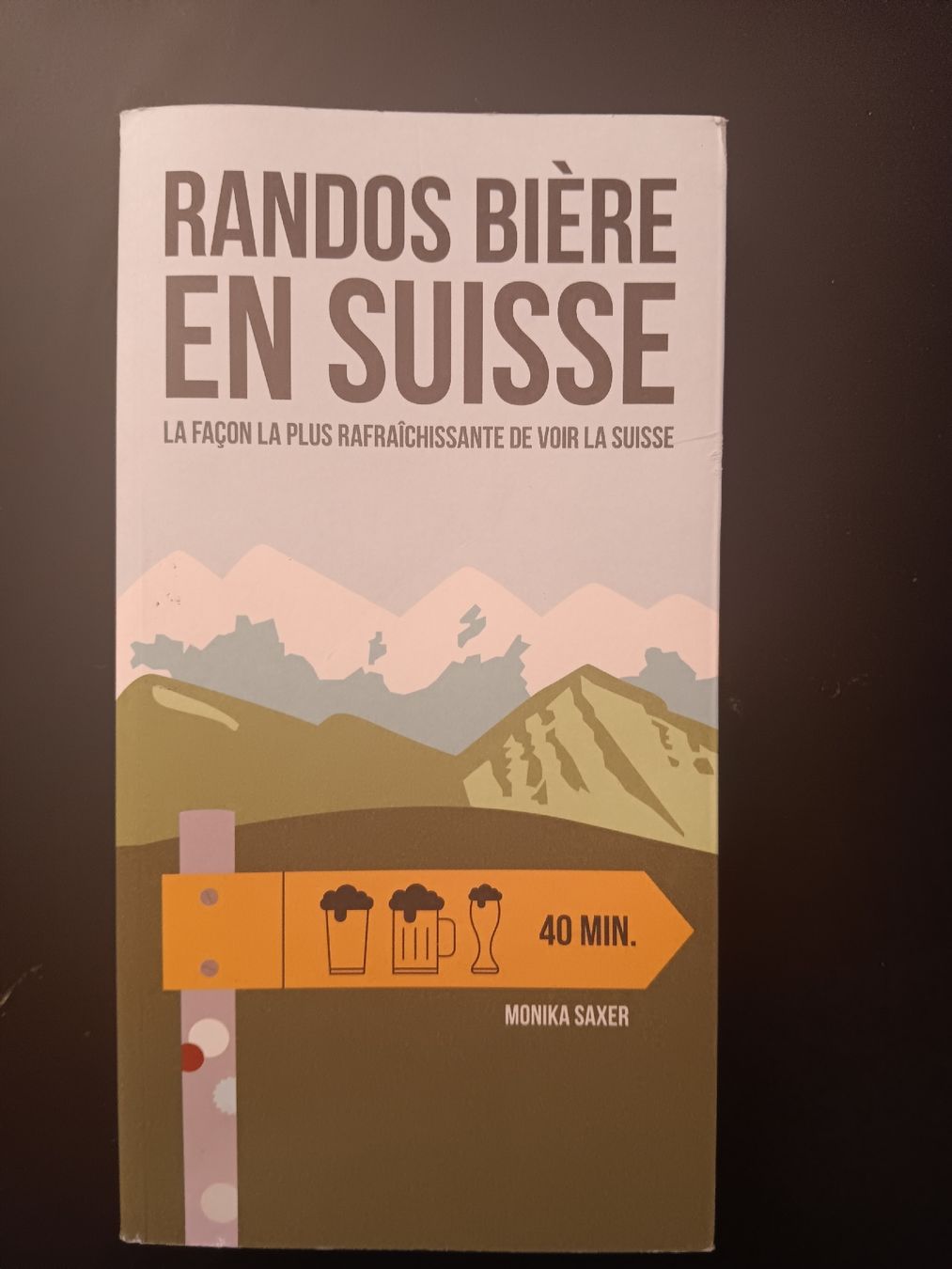 Libri: Randos bière en Suisse – Usato da Lausanne venduto da Grabock