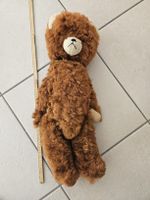 alter grosser Bär