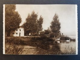 Altenrhein  Rheintal  animiert  Hafen  Bodensee  St.Gallen