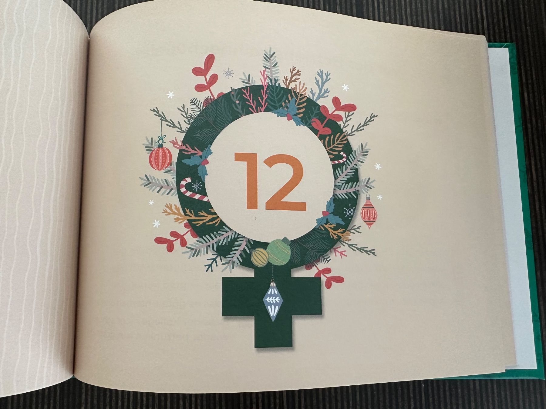 Bücher: Adventskalender – Gebraucht aus Thalwil von ViviFu 2