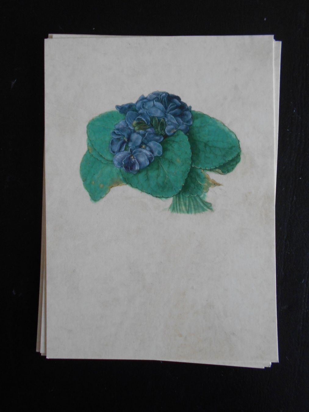 Cartoline postali: Albrecht Dürer 13 Kunstkarten 7 Motive – Nuovo (secondo la descrizione) da Hünibach venduto da vielesachen 5