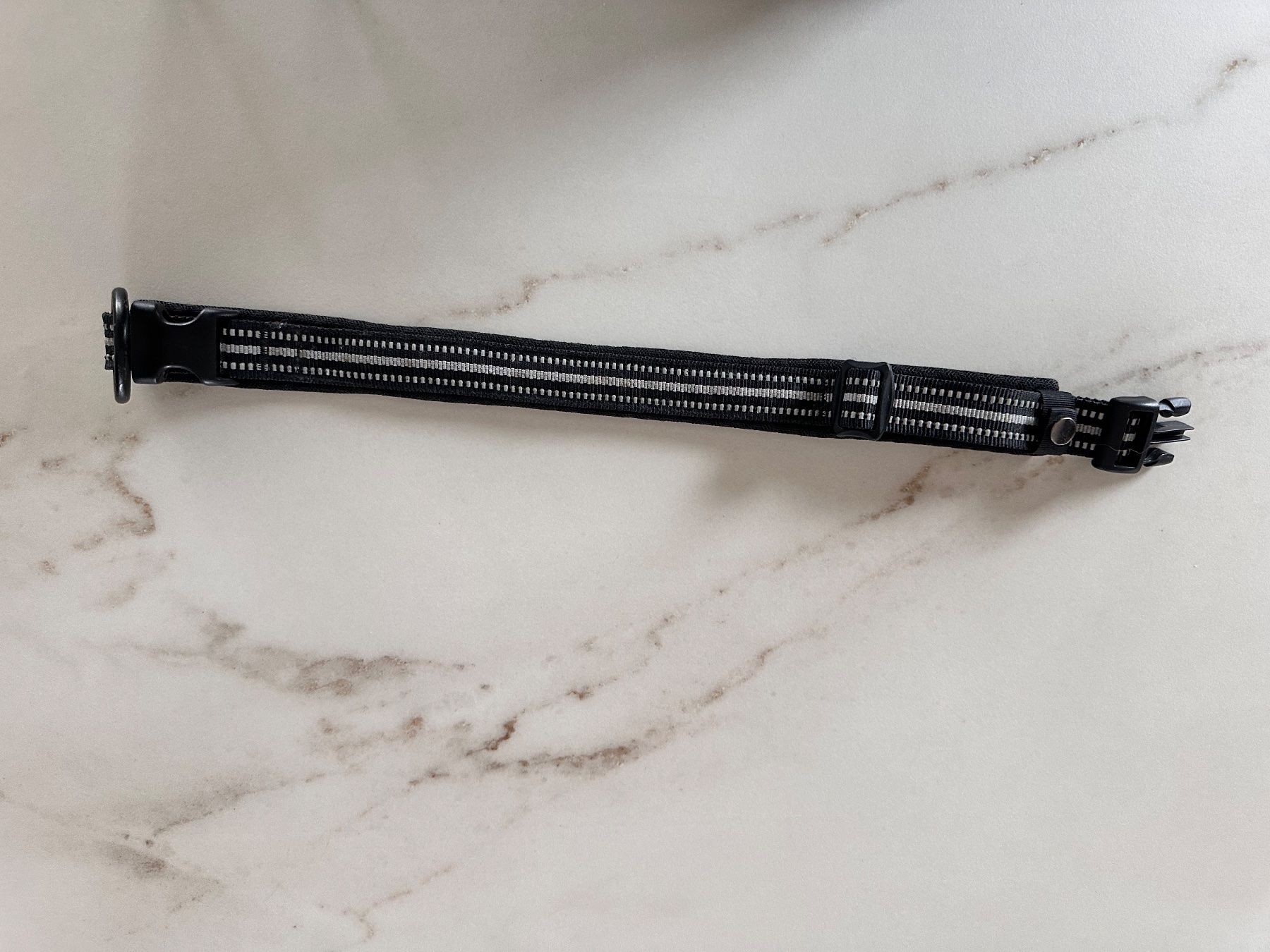 Leine & Halsband: Halsband DogsCreek Grösse L – Gebraucht aus Tuggen von wollistar 1