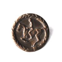 Deutsches Reitabzeichen in Bronze