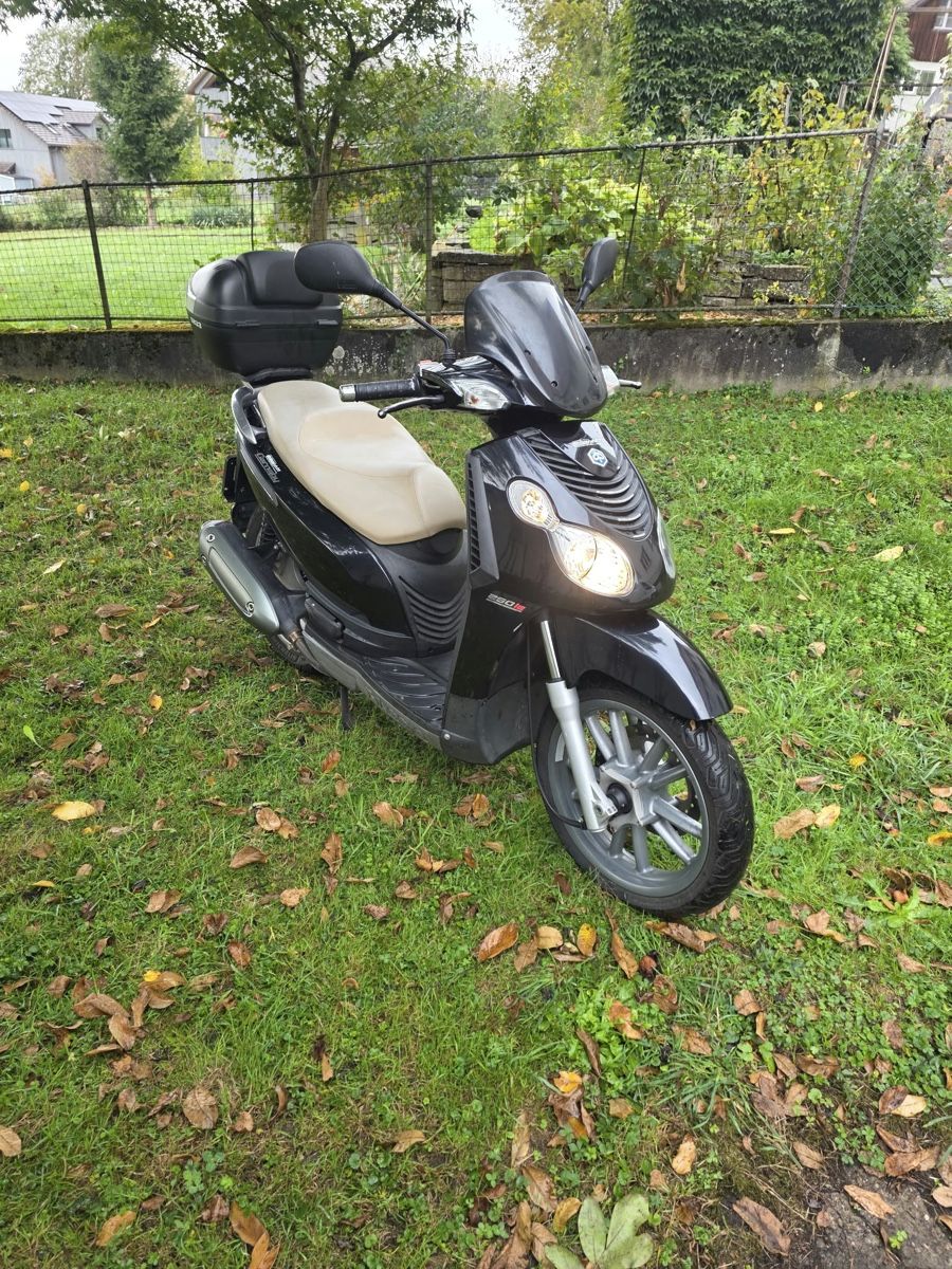 Piaggio Scooters: PIAGGIO Carnaby 250 CC (AB MFK) – Gebraucht aus Winterthur von Fabio_46 1