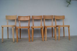 5 Beizenstühle